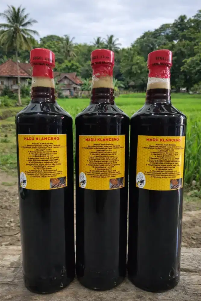 Madu Klanceng Murni 600ml