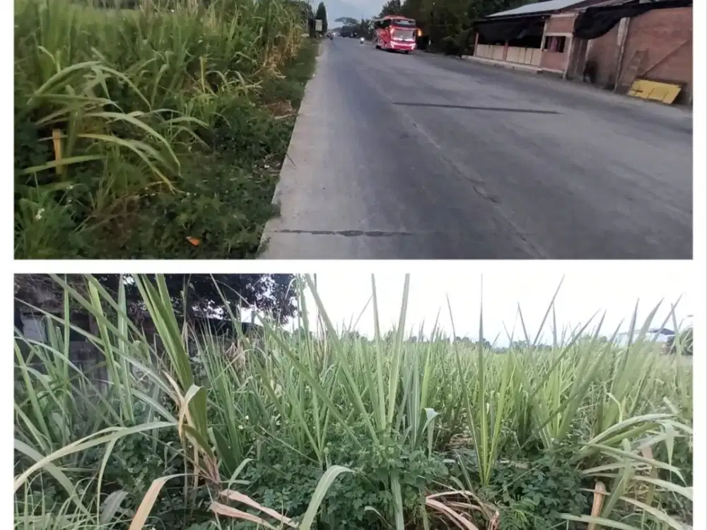 Dijual Lahan Donas Mojokerto