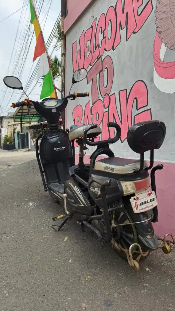 Selis murai tahun 2018/2019