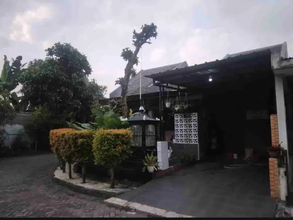 Rumah Sewa Rapi Siap Huni di The Address Cibubur