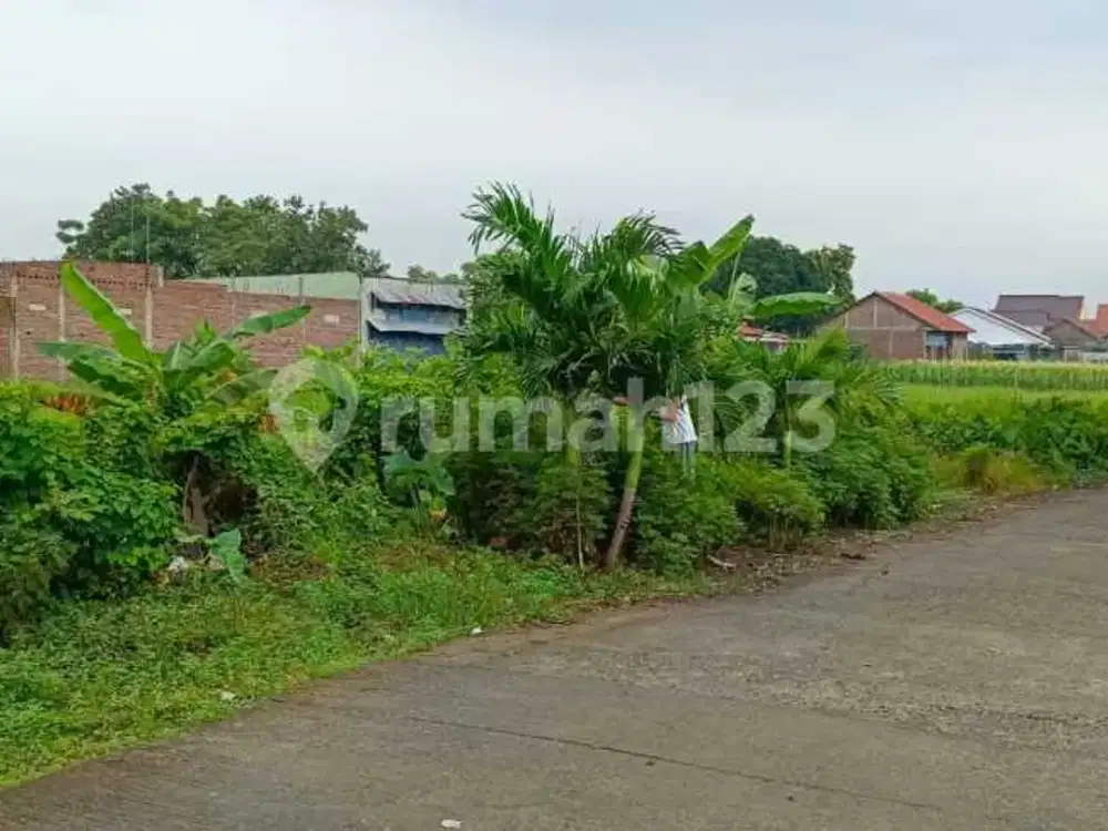 Tanah Dekat Exit Tol Pemalang