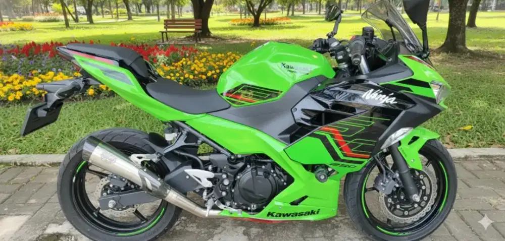 Ninja 250 Fi Abs series tertinggi