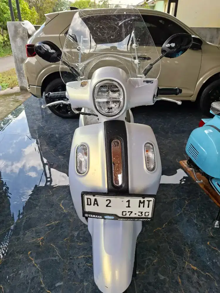 Fazzio lux 2025