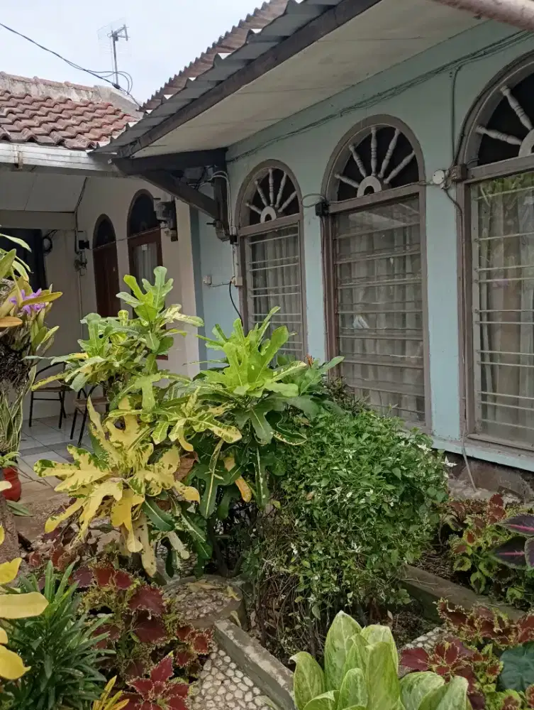 DIKONTRAKAN RUMAH TINGGAL 2 KAMAR TAHUNAN