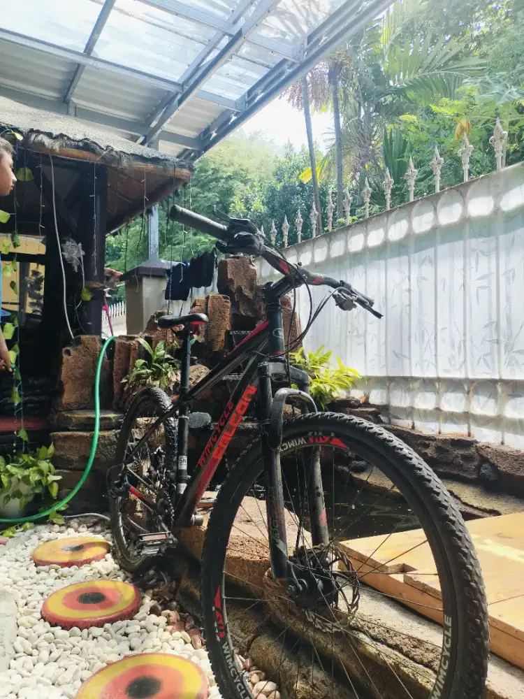 SEPEDA ONTEL Wimcycle Falcon BEKAS