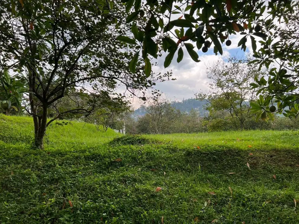 Dijual Cepat Tanah Premium di Resort Dago Pakar Bandung