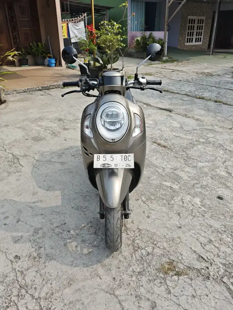 •Big sale Honda Scoopy New