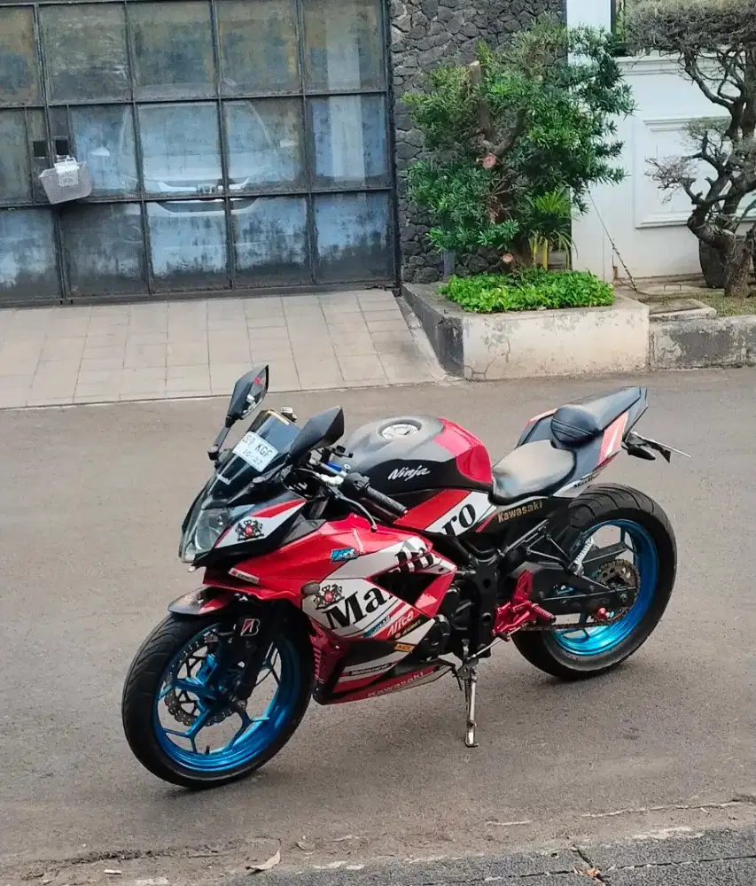 Ninja mono 250SL 2017