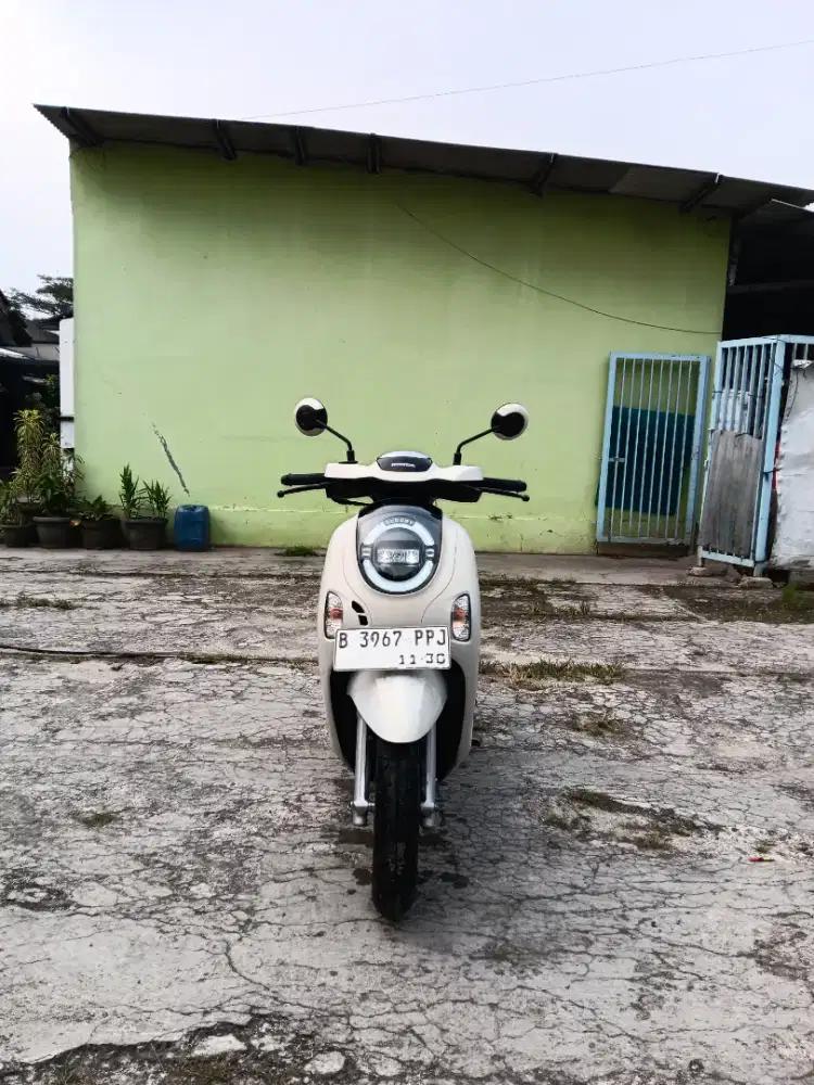 •Big sale Honda Scoopy New Prestige