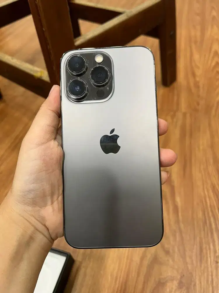 iPhone 13 Pro 256 Gb Beacukai