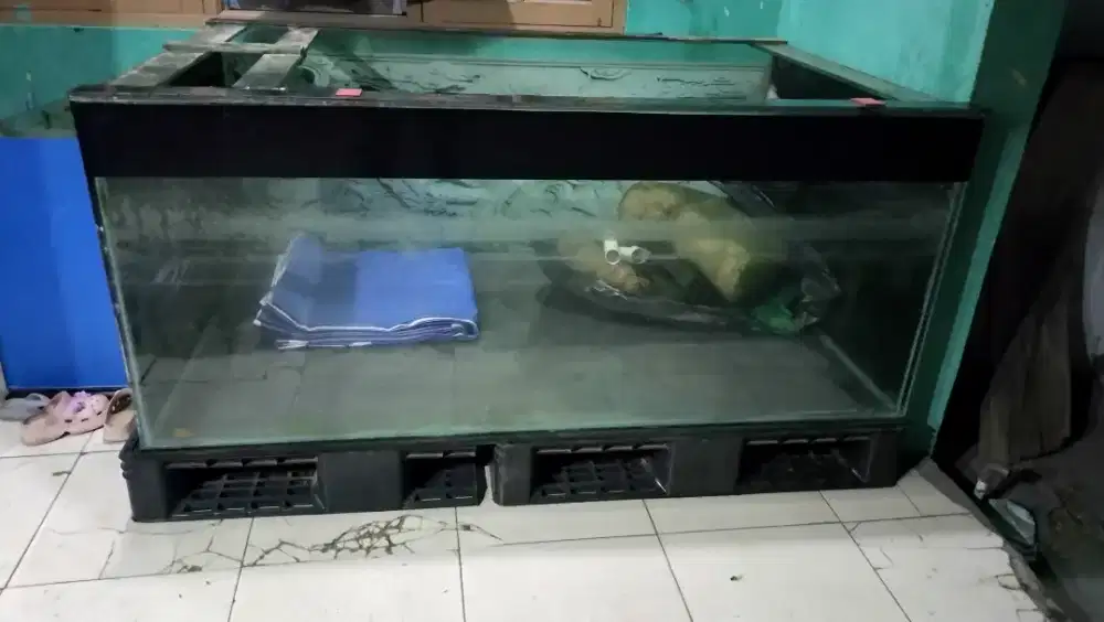 Aquarium / tank