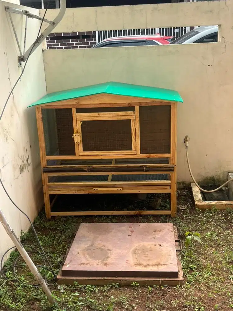 ART PULANG PERGI