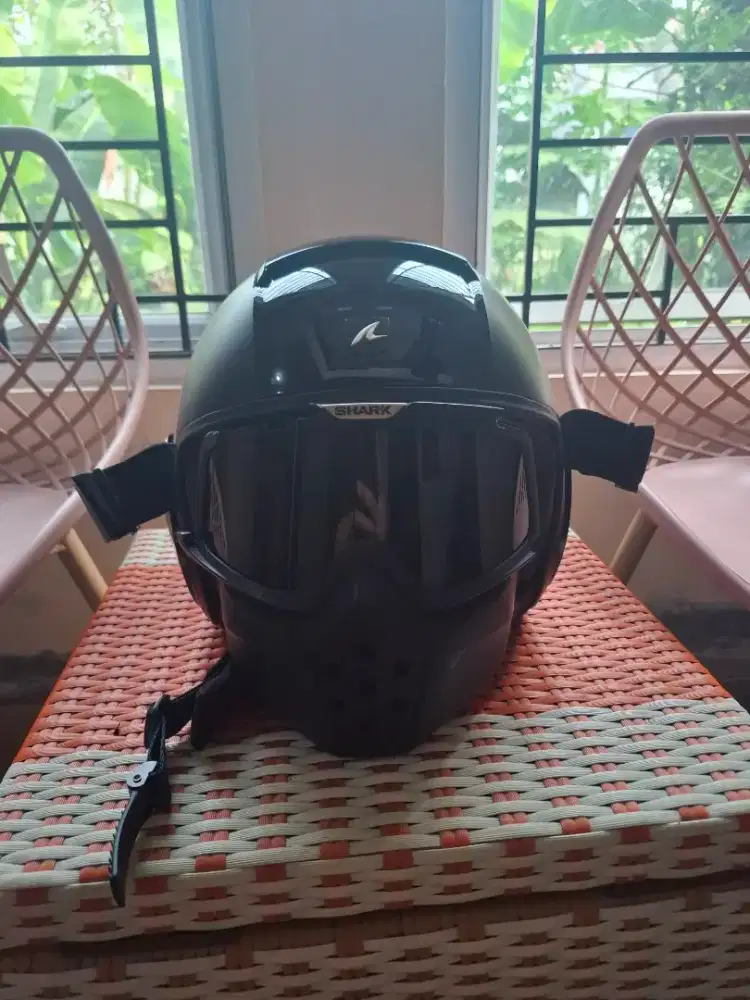 Helm shark raws