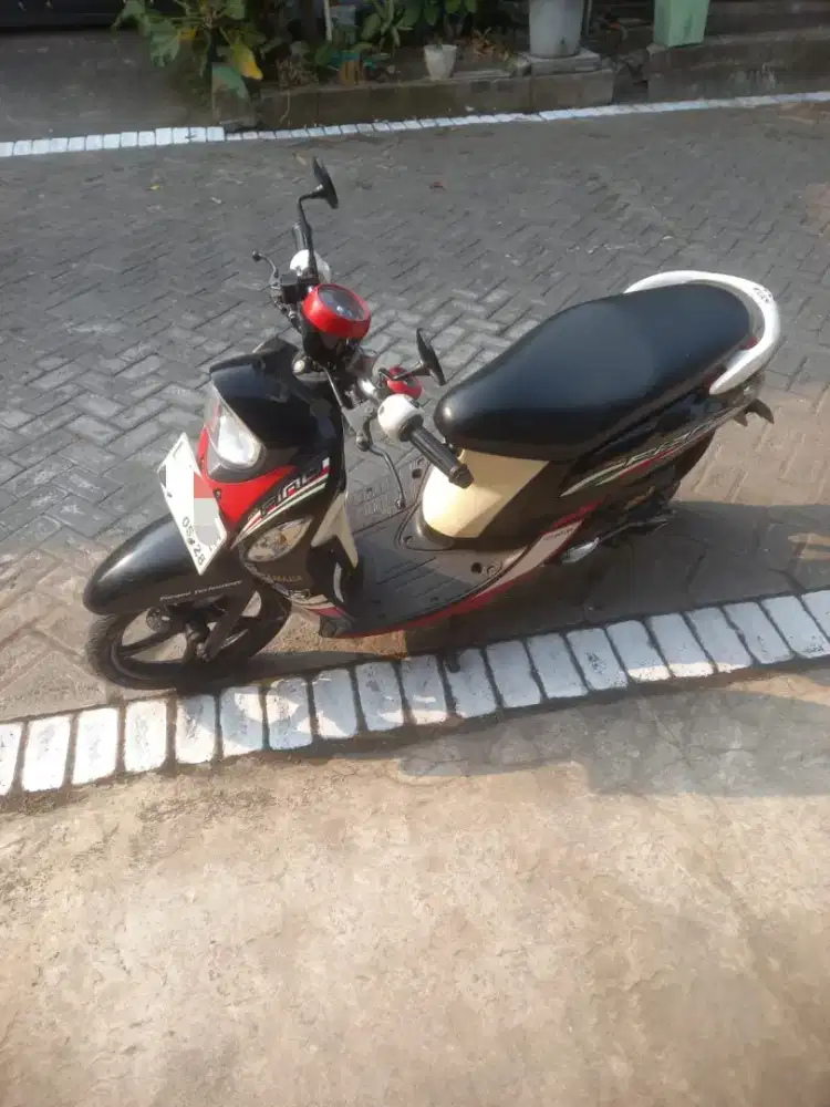 Fino gaul 2015 plat L