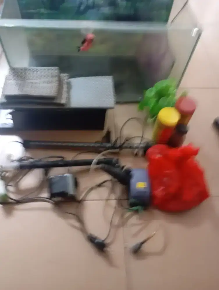 Ikan akuarium aquarium tebal