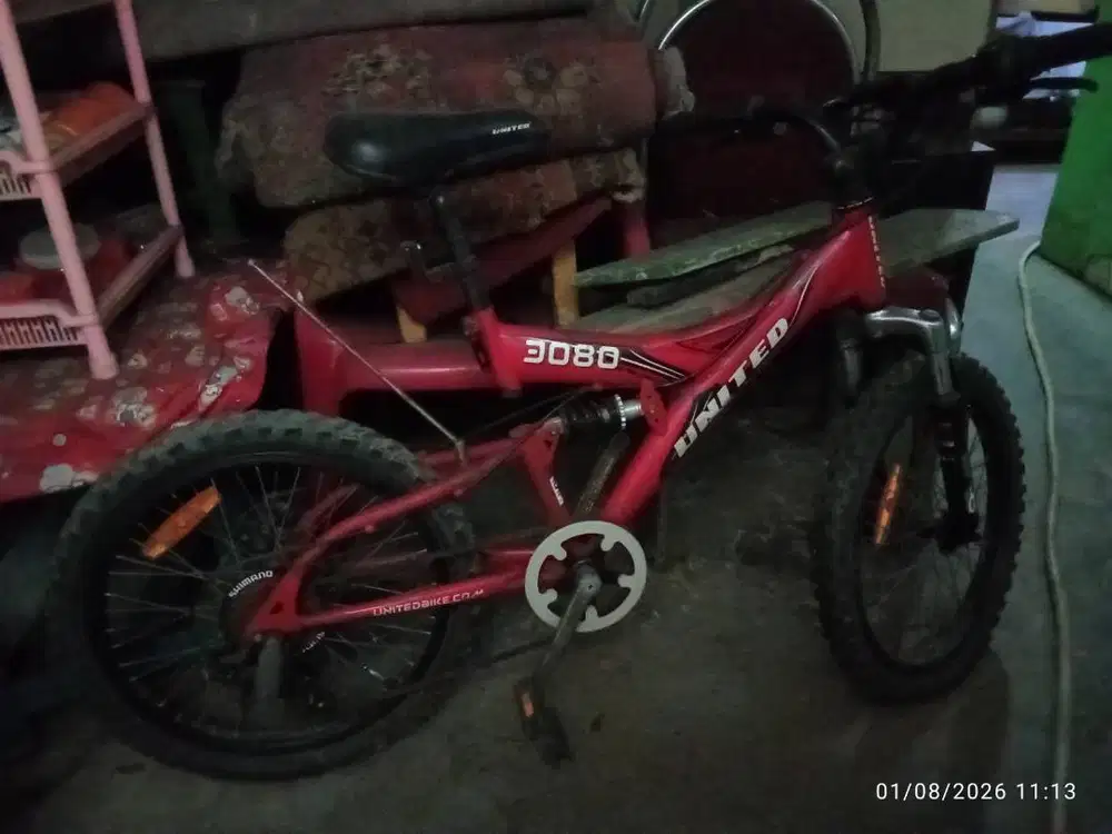 Sepeda United 3080.