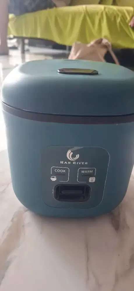 Rice cooker mini