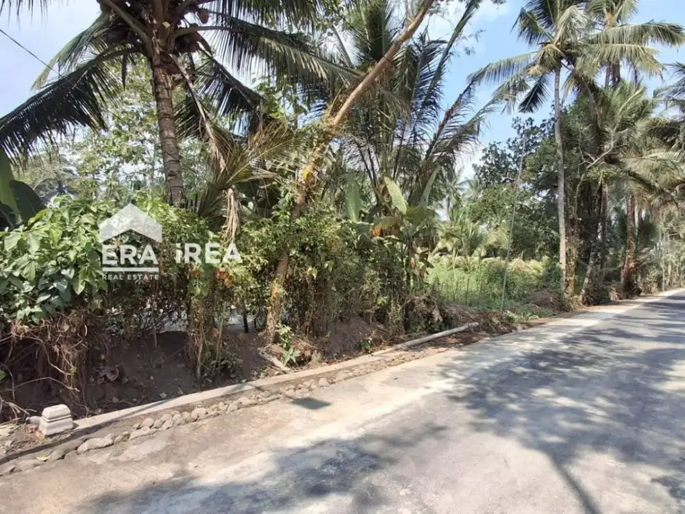 TANAH DIJUAL DI JOGJA DEKAT PASAR TEMPEL
