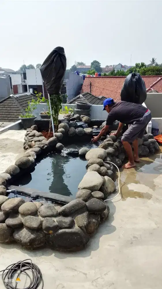 Tukang kolam ikan natural Aviari