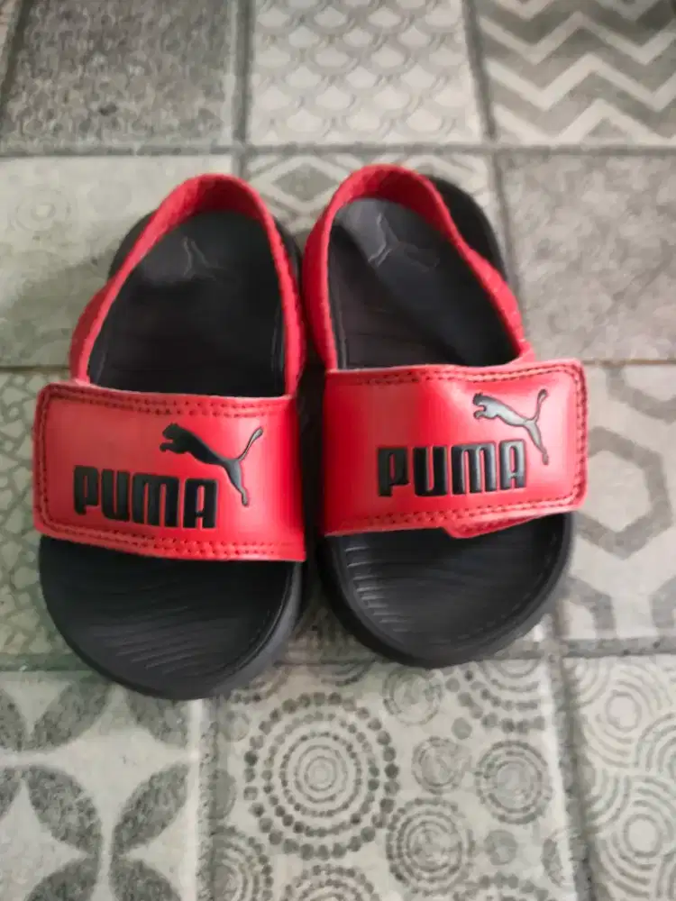 sepatu Puma anak laki laki