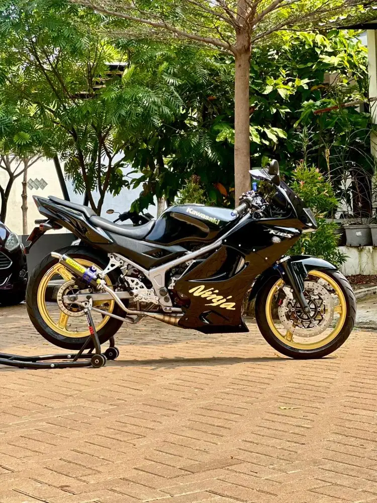 Kawasaki Ninja RR 2015