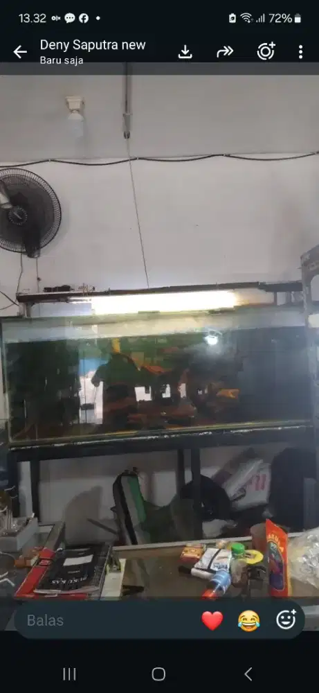 Ikan dan aqurium