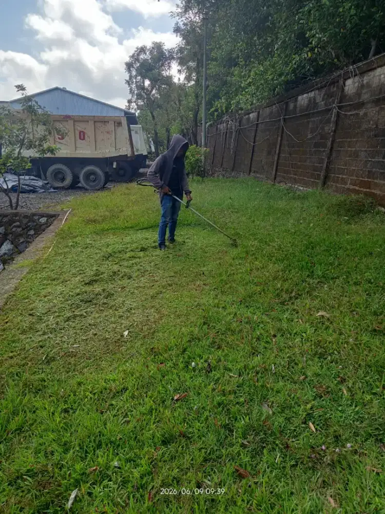 Jasa potong rumput dan nyemprot rumput