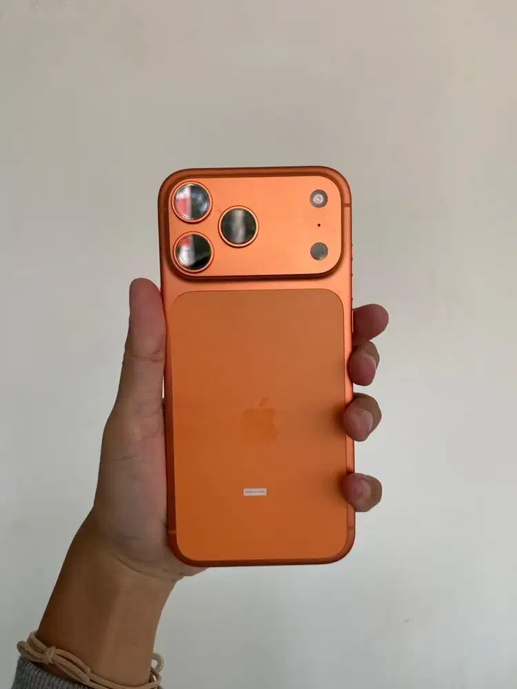 17 pm 256gb ibox