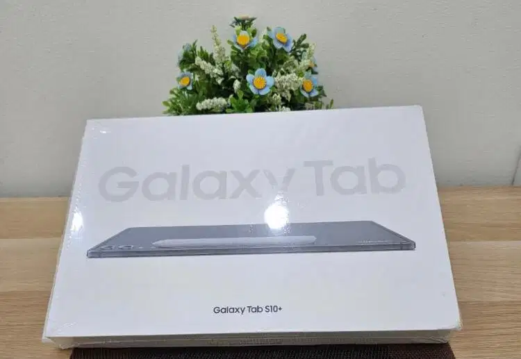 Samsung Tan S10 plus 256 gb