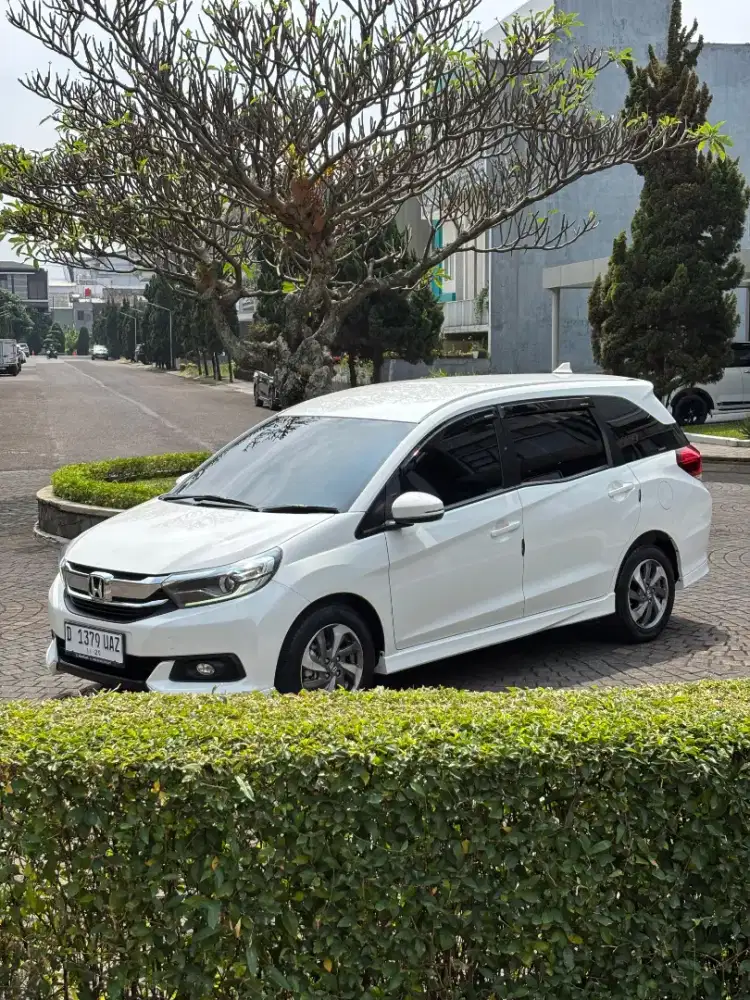 MOBILIO E LIMITED M/T 2019 LOW KM ISTIMEWA