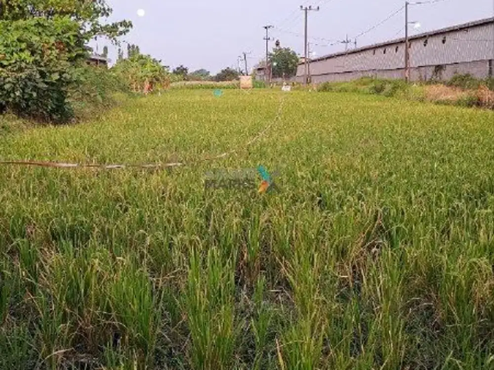 Dijual Tanah, Lahan di Poros Jalan Raya Sidogiri, Sungiwetan Kab. Pasuruan