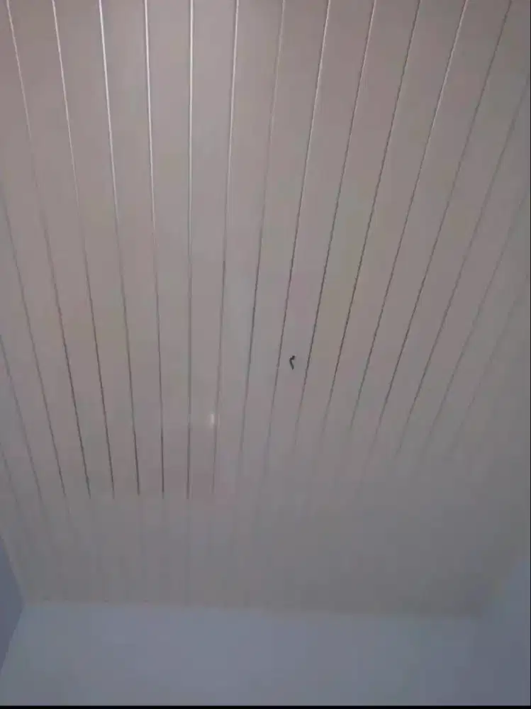 Plafon Pvc Polos