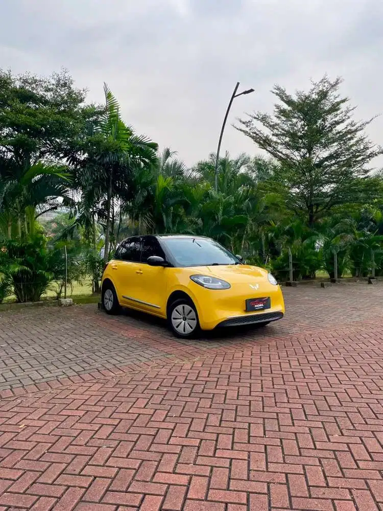 [Odo 12rb] Wuling Binguo EV Lite (4x2) AT 2025