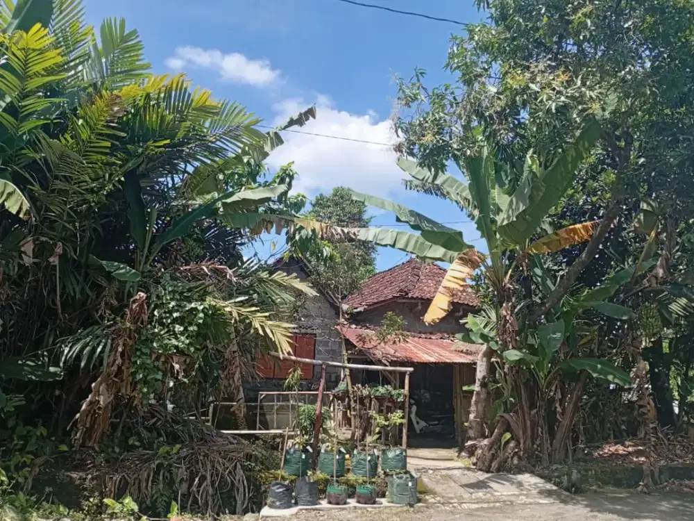 RUMAH LELANG MURAH DEKAT RSUD SLEMAN, SIAPA CEPAT DIA DAPAT!