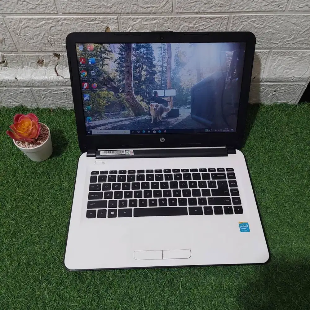 HP 14-AC002TU INTEL CELERON N3050 RAM 4GB SSD 128GB