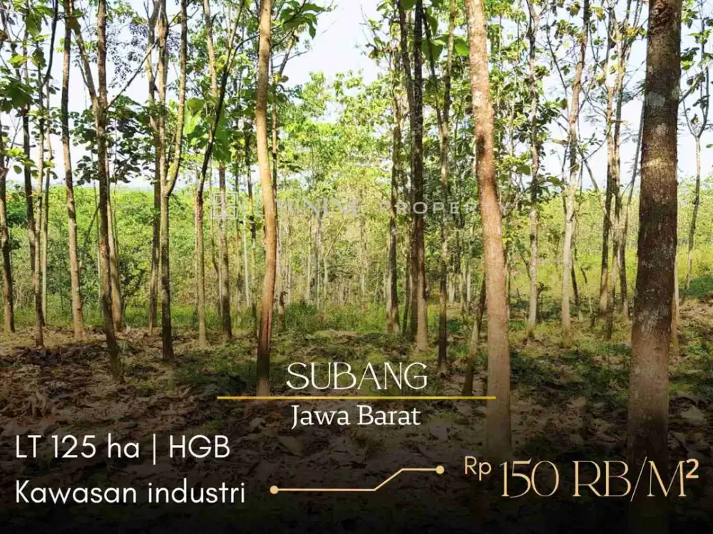 DIJUAL TANAH BAGUS AREA INDUSTRI, DI SUBANG, JAWA BARAT