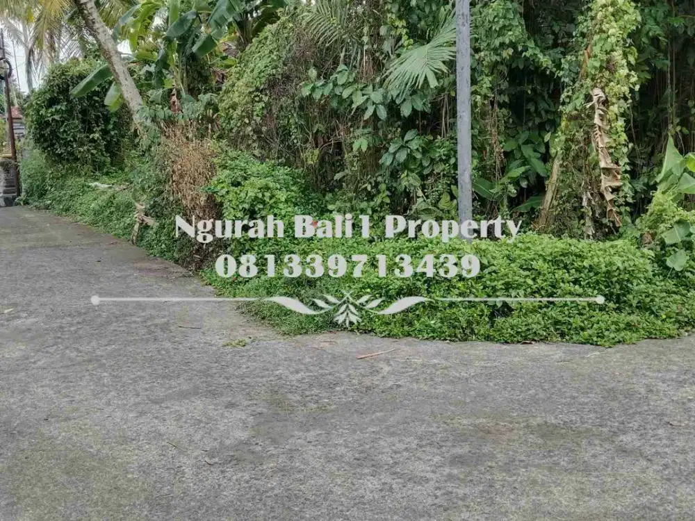 Dijual Tanah Murah Luas 2,5 Are Kawasan Villa di Ubud Pejeng