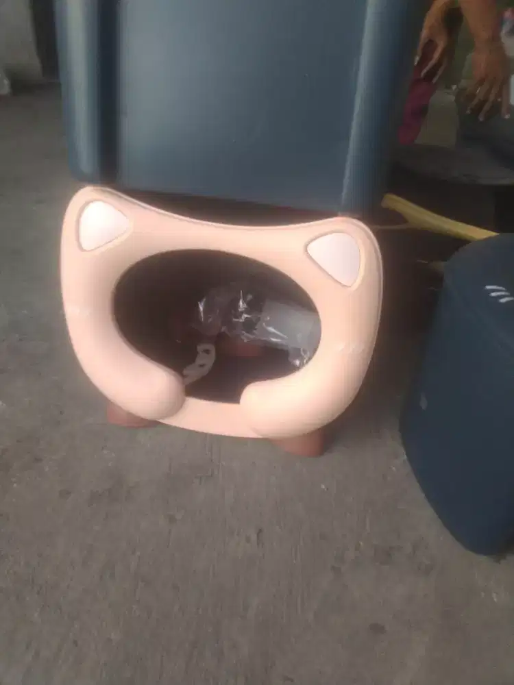 Tempat tidur kucing.