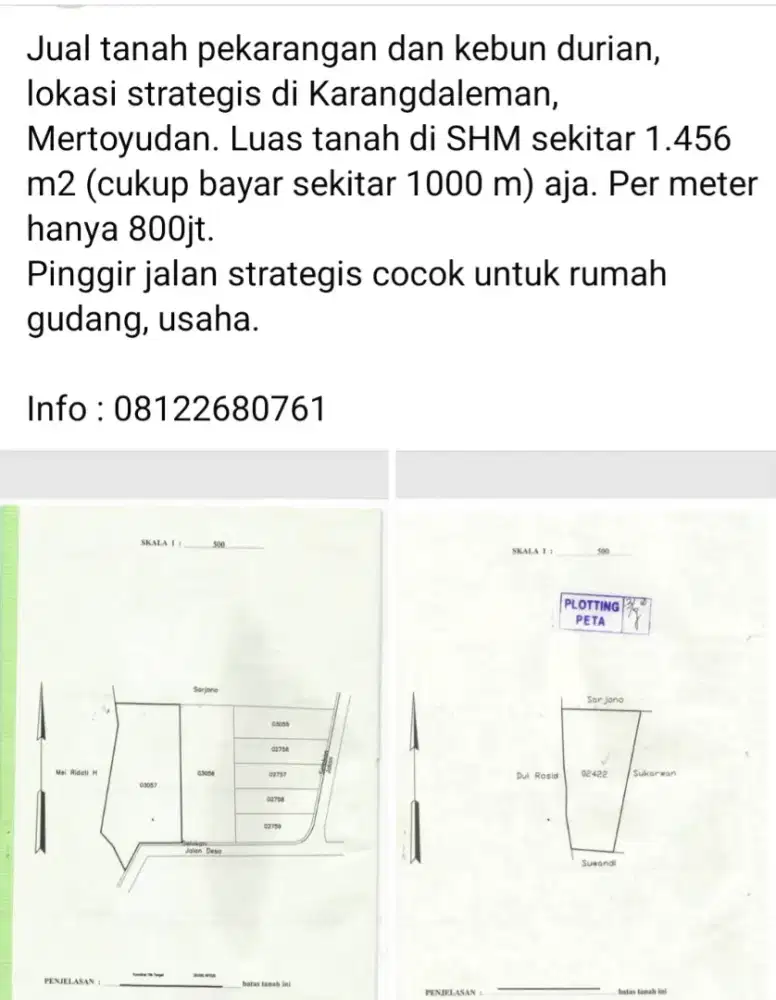 Tanah pekarang plus kebun durian super murah
