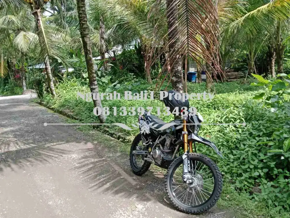 Dijual Tanah Murah Luas 4,7 Are Kawasan Villa di Ubud Pejeng
