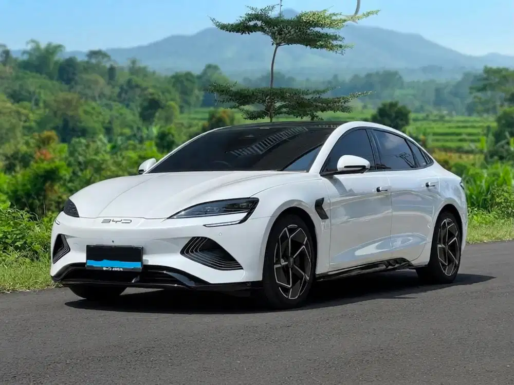 BYD SEAL PERFORMANCE EV 3.8 AWD 2024