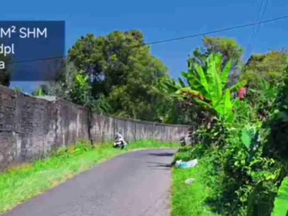 tanah sawah produktif