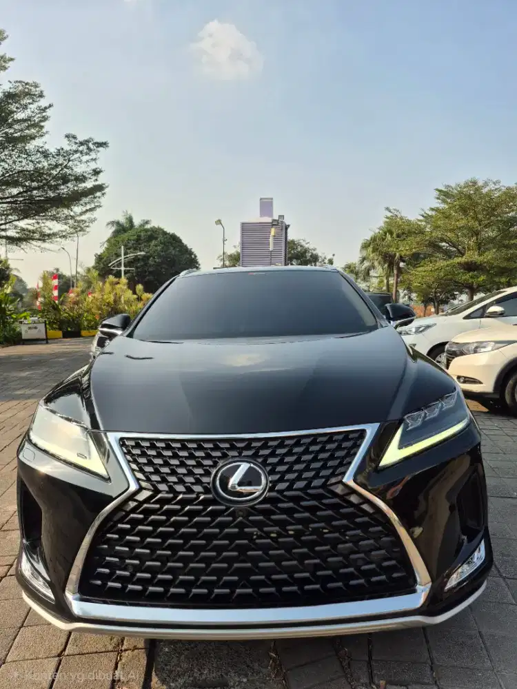 Lexus Rx300 / Rx 300 Luxury 2021