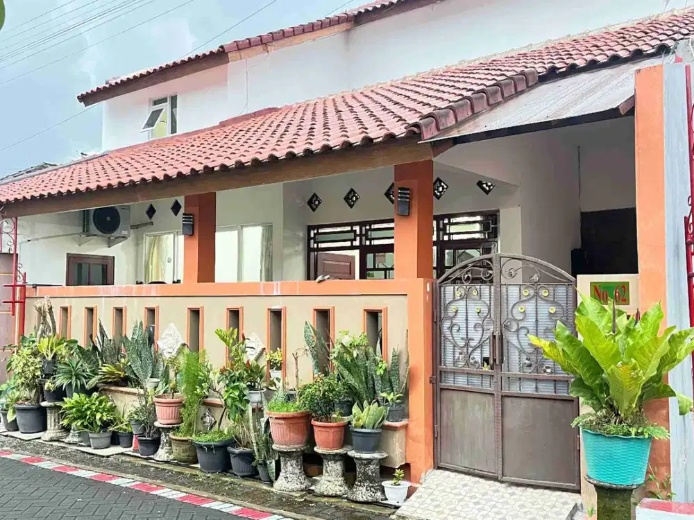 disewakan rumah minimalis dalam perumahan  di nogotirto