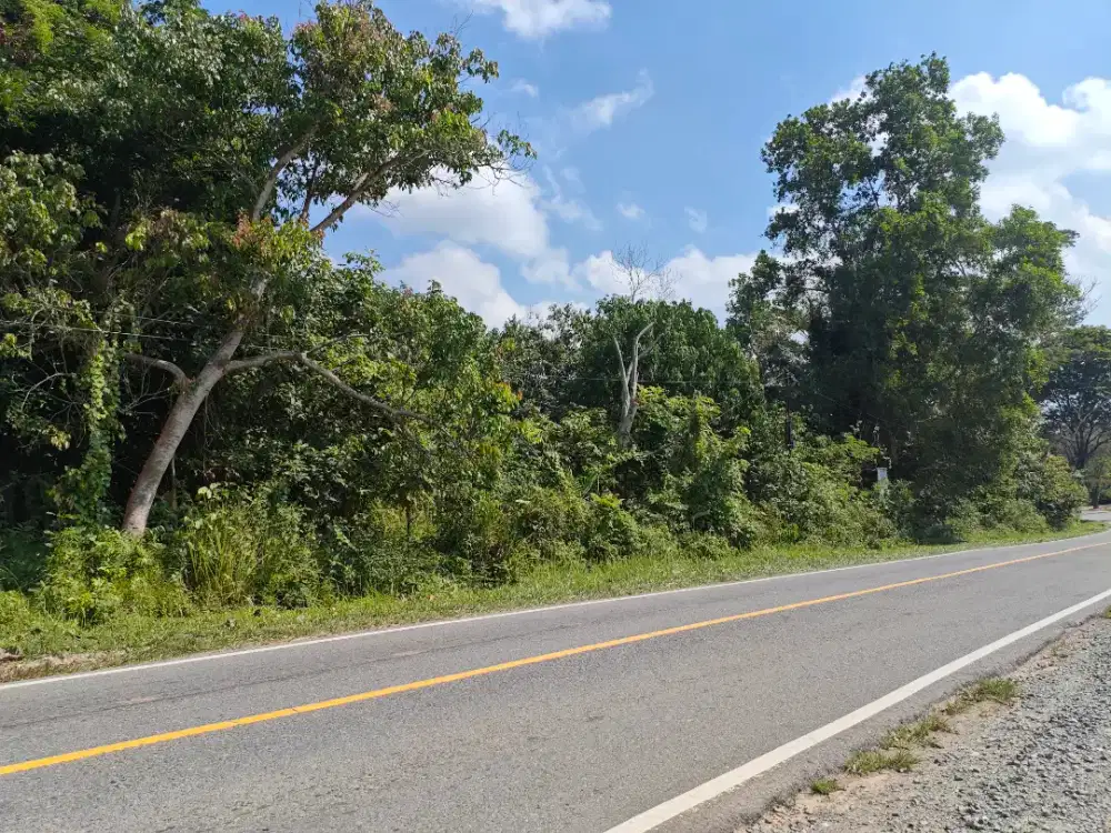 DI JUAL TANAH KILO23 4,5Ha