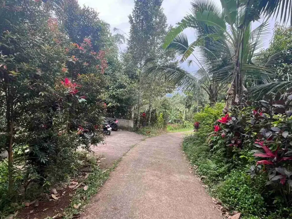 jual tanah Luas kecil ketinggian 550 MDPL di tabanan bali.