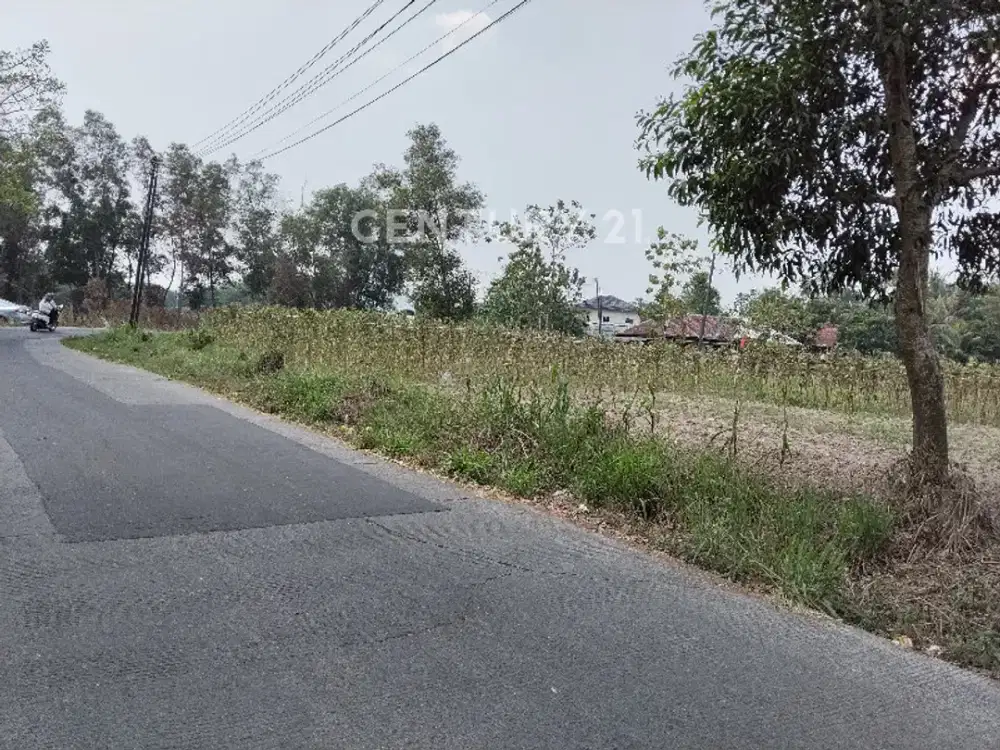 Kavling Siap Bangun Di Tigaraksa Tangerang Banten