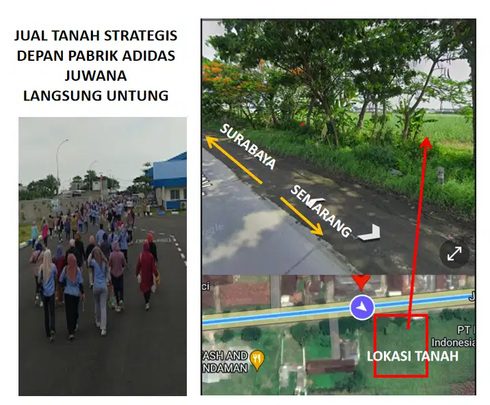JUAL TANAH  SHM DEPAN PABRIK SEPATU ADIDAS JUWANA - PATI JAWA TENGAH