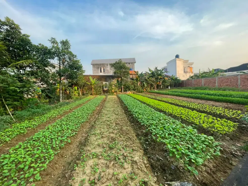Dijual Tanah Murah Kota Palembang Sukabangun 2