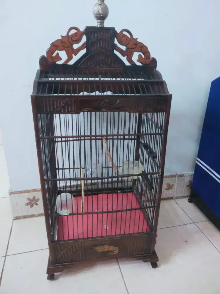 Jual kandang harian